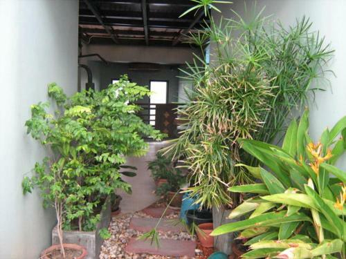 Hostal Lamoon Lamai House