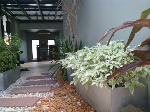 Hostal Lamoon Lamai House