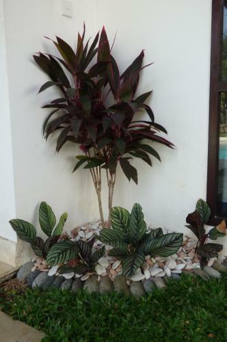 Hostal Istana Hypso