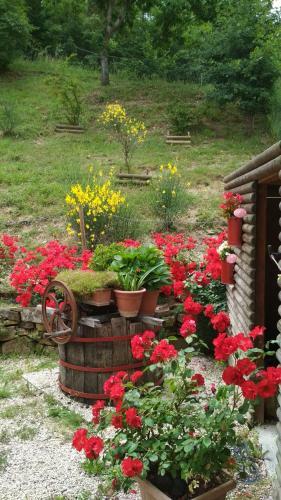 B&B Monticelli