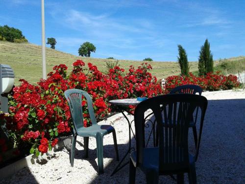B&B Monticelli