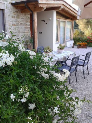 B&B Monticelli