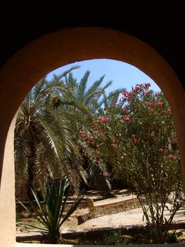 Shali Lodge Siwa