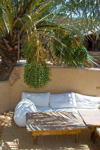 Shali Lodge Siwa