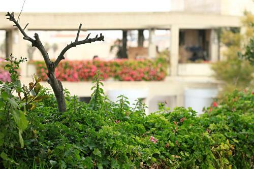 Bed & Breakfast Beit Shmuel