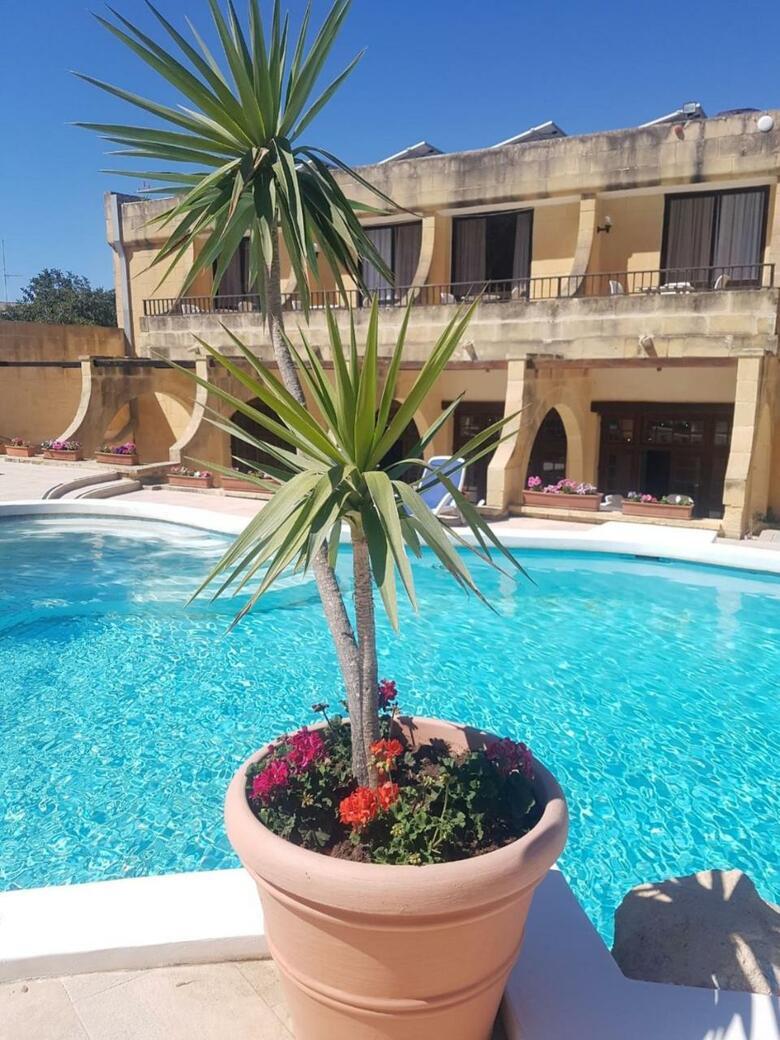 Hotel Cornucopia