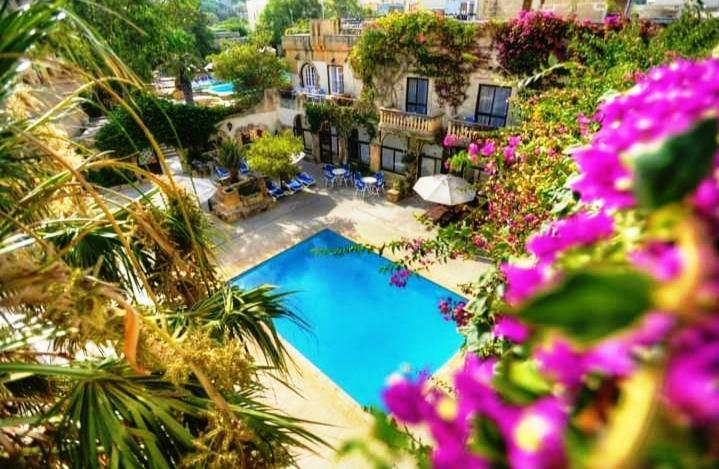 Hotel Cornucopia