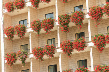 Hotel Prima Kings