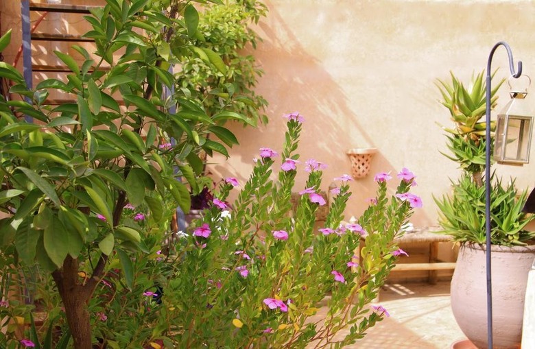 Hotel Riad Dama