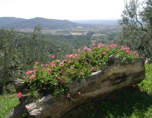 Apartamento Ciliegio