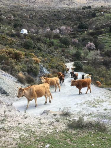 Agroturismo Casa Rural Fuente La Teja