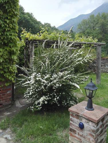 B&B Castello Di Camerletto