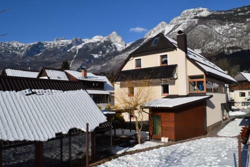 Apartments Mrakic