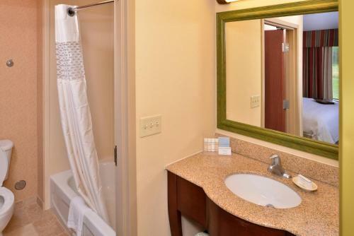 Hotel Hampton Inn & Suites St. Louis - Edwardsville