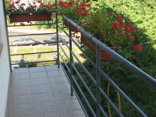 Hostal Pensiunea Warthe