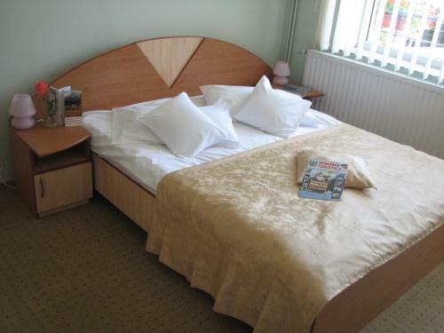 Hostal Pensiunea Warthe