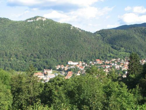 Hostal Pensiunea Warthe