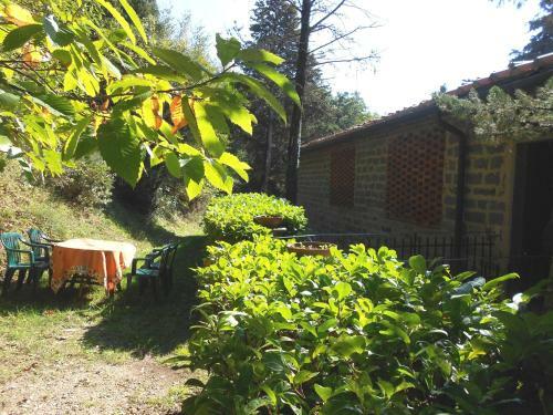 Agroturismo Fattoria Il Praticino