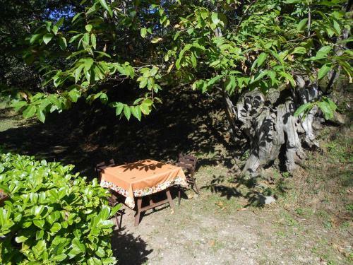 Agroturismo Fattoria Il Praticino