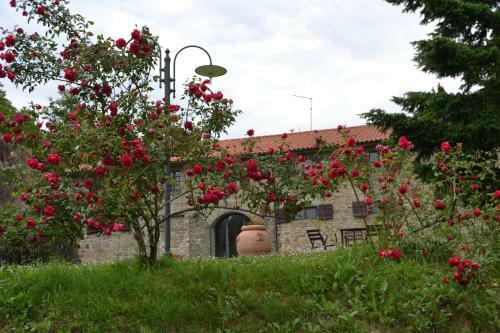 Agroturismo Fattoria Il Praticino