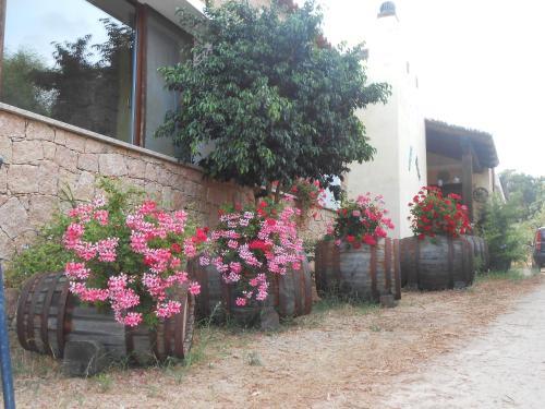 Agroturismo Agriturismo Lu Nibaru