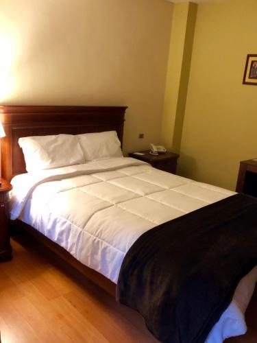 Hotel Coronel