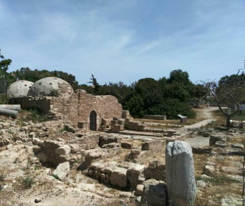 Agroturismo Pafias Afroditis House