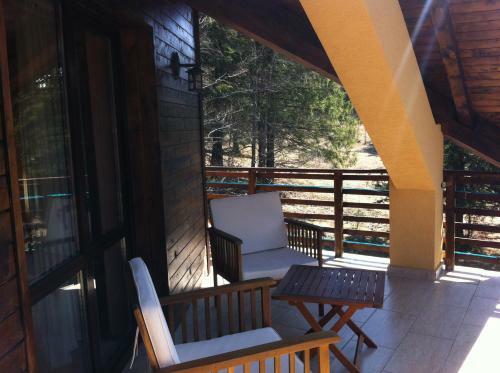 Villa Vila Piscul Ursului