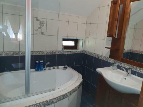 Villa Vila Piscul Ursului