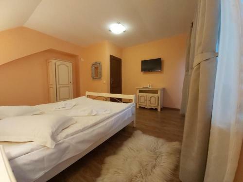 Villa Vila Piscul Ursului