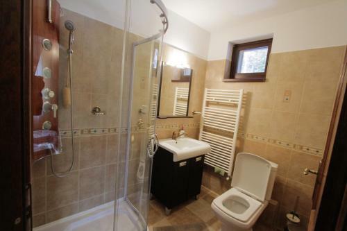 Villa Vila Piscul Ursului