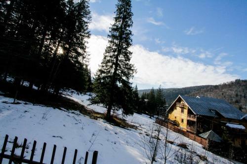 Villa Vila Piscul Ursului