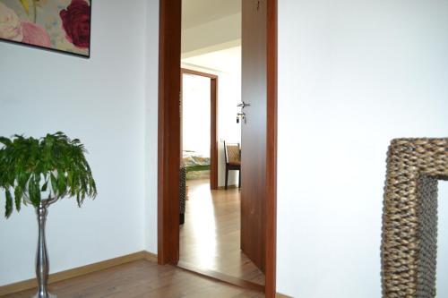 Hostal Inspire View