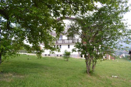 Hostal Inspire View