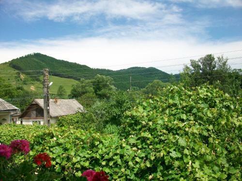 Hostal Pensiunea Covaciu