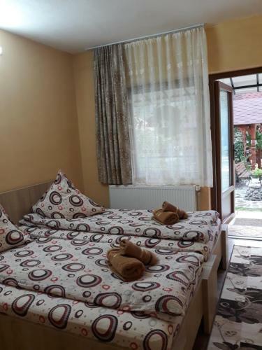 Hostal Pensiunea Covaciu