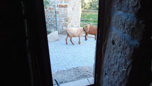 Agroturismo Aldeia Do Code�al