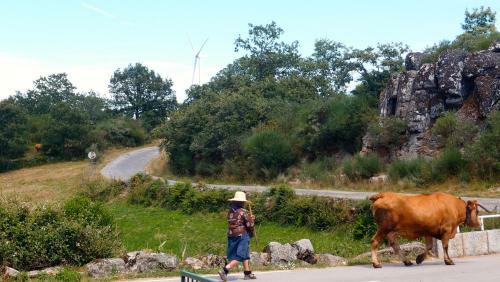 Agroturismo Aldeia Do Code�al