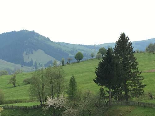 Hostal Pension Valentina