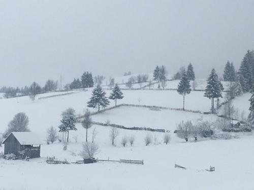 Hostal Pension Valentina