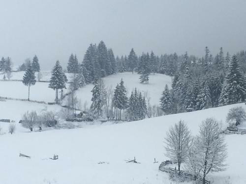 Hostal Pension Valentina