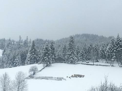 Hostal Pension Valentina