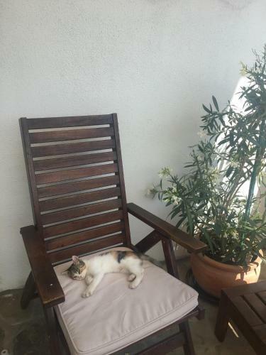 Hostal Pension Valentina