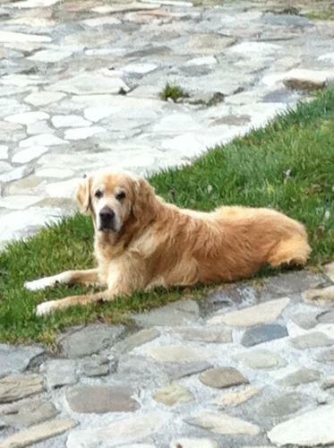 Hostal Pension Valentina