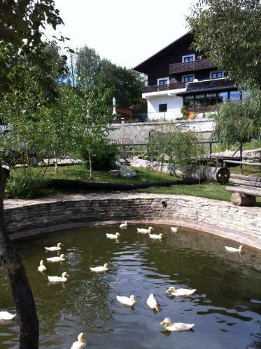 Hostal Pension Valentina