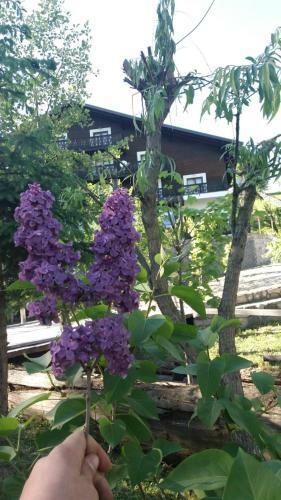 Hostal Pension Valentina