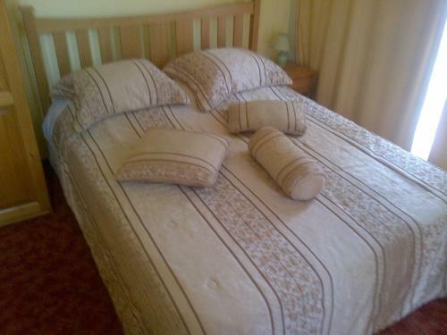 Hostal Pensiunea Phoenix