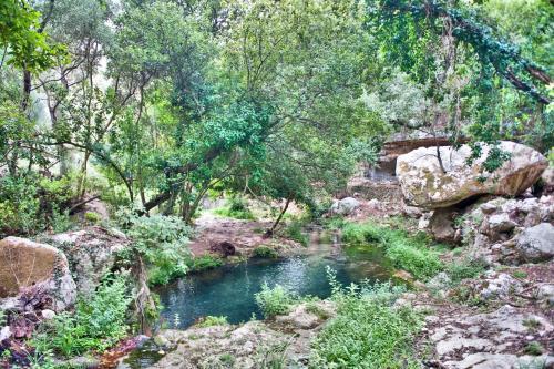 Agroturismo Borgo Alveria