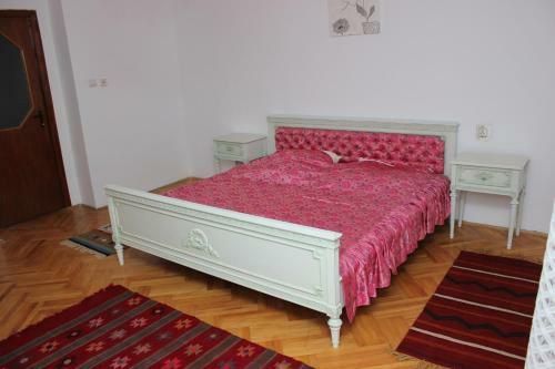 Albergue Mosaico Alfetta