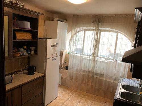 Albergue Mosaico Alfetta